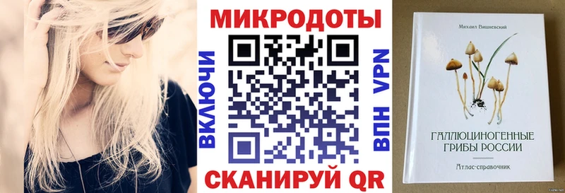 Галлюциногенные грибы Psilocybe  Брюховецкая 