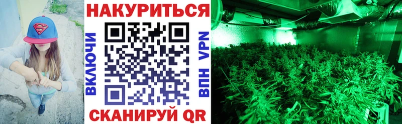 Канабис ГИДРОПОН  Брюховецкая 